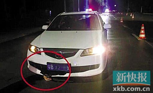 女司机夜驾,忽然发现车底一只血淋淋的手&hellip;&hellip;