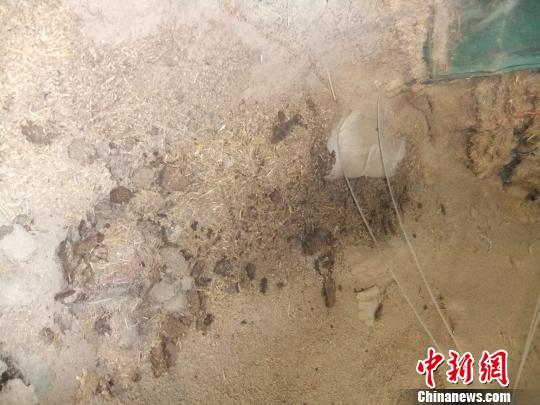 万吨小麦&ldquo;被忘&rdquo;7年变质中储粮河南三级粮官噤声