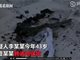 实拍安徽京润中央城保姆杀死户主妻女纵火焚屋视频 杀人者系户主情人