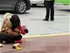 保定朝阳万博广场对面一幼童遭公交车碾压身亡